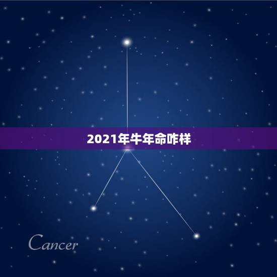 2021年牛年命咋样,2021年属牛本命年应该要注意什么 运气好吗? 2021年牛年命咋样,2021年属牛本命年应该要注意什么 运气好吗?