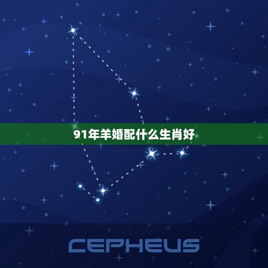 91年羊婚配什么生肖好，91年男属羊的和什么属相最配？