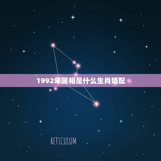 1992年属相是什么生肖婚配,属猴的和什么属相最配 属猴的属相婚配表 1992年属相是什么生肖婚配,属猴的和什么属相最配 属猴的属相婚配表