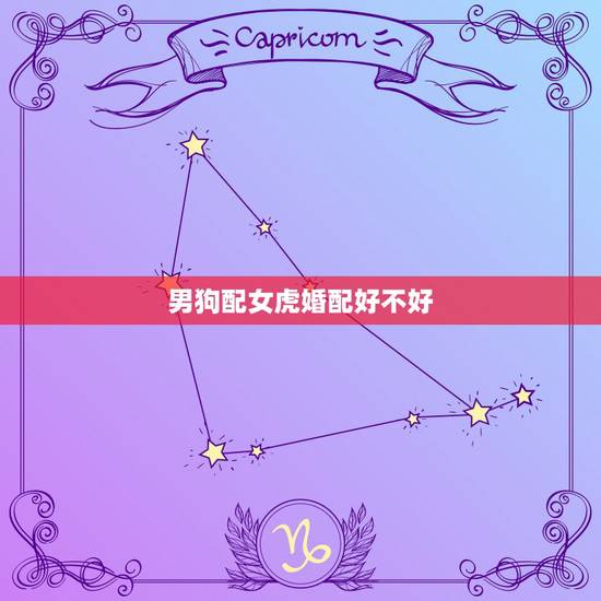 男狗配女虎婚配好不好,女虎配男狗吗 男狗配女虎婚配好不好,女虎配男狗吗