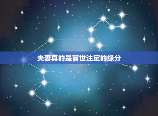 夫妻真的是前世注定的缘分,老公真的是前世注定的缘分吗? 夫妻真的是前世注定的缘分,老公真的是前世注定的缘分吗?