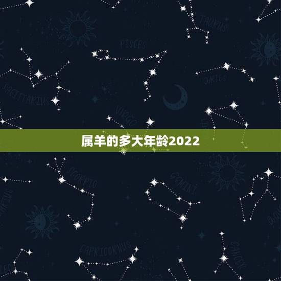 属羊的多大年龄2022，属羊最旺财的年龄段2022年