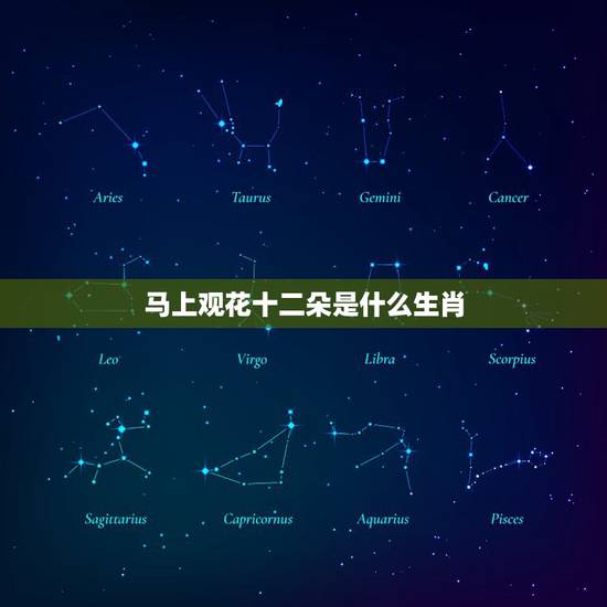 马上观花十二朵是什么生肖，马上观花十二朵解生肖