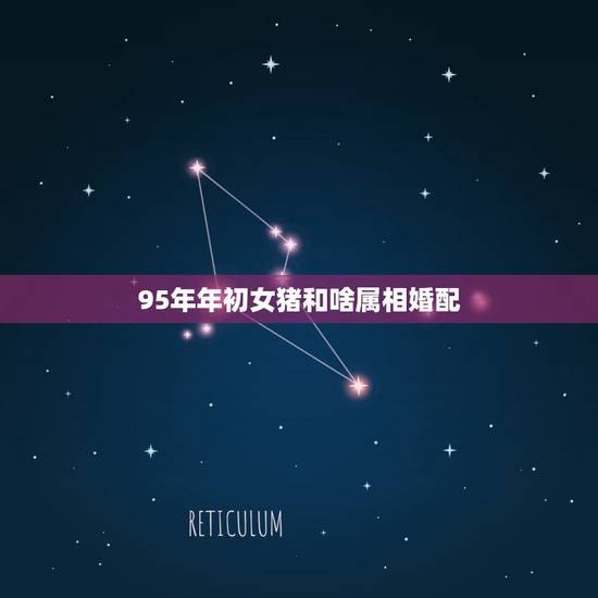 95年年初女猪和啥属相婚配,95年属猪女和什么属相最配 – 百度 95年年初女猪和啥属相婚配,95年属猪女和什么属相最配 – 百度