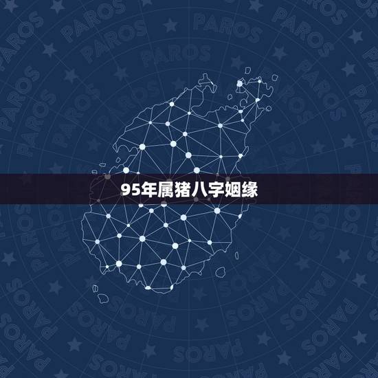95年属猪八字姻缘，95年属猪的能与95属猪的相配吗，