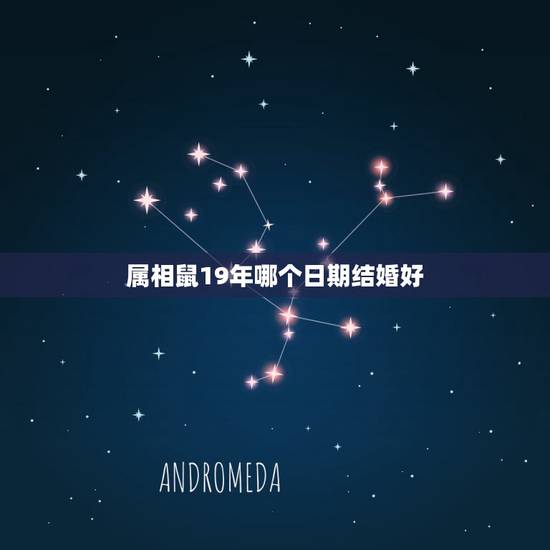 属相鼠19年哪个日期结婚好,属鼠的几月结婚最好,生肖鼠几月结婚最好,属 属相鼠19年哪个日期结婚好,属鼠的几月结婚最好,生肖鼠几月结婚最好,属