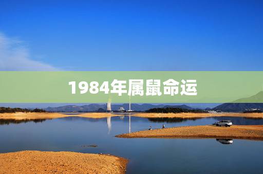 1984年属鼠命运，1984年属鼠女人命