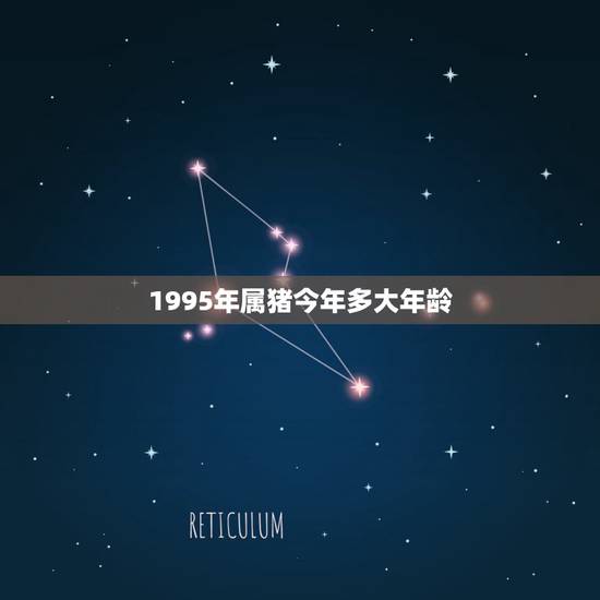 1995年属猪今年多大年龄，属猴的年龄表