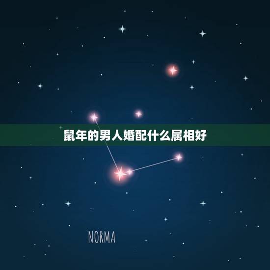 鼠年的男人婚配什么属相好,男属鼠的属相婚配表 属鼠男和什么属相最配 鼠年的男人婚配什么属相好,男属鼠的属相婚配表 属鼠男和什么属相最配