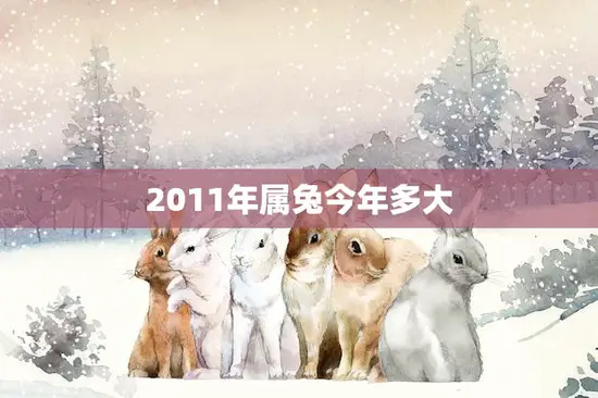 2011年属兔今年多大(属兔人的年龄计算方法) 2011年属兔今年多大(属兔人的年龄计算方法)
