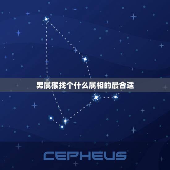男属猴找个什么属相的最合适，男猴配什么属相更好