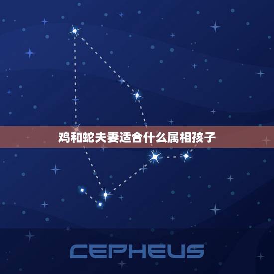 鸡和蛇夫妻适合什么属相孩子，男属鸡，女属蛇生什么属相的孩子好