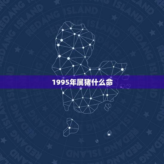 1995年属猪什么命，属猪的1995年是什么命