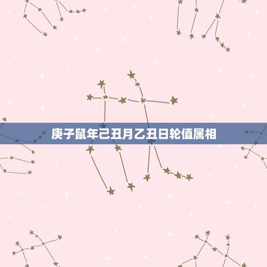 庚子鼠年己丑月乙丑日轮值属相，12生肖后顺序