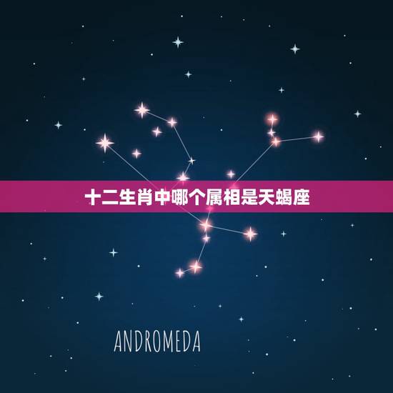 十二生肖中哪个属相是天蝎座,属猪的并且是天蝎座的和属什么属相,什么星座 十二生肖中哪个属相是天蝎座,属猪的并且是天蝎座的和属什么属相,什么星座