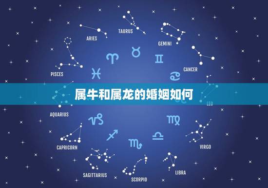 属牛和属龙的婚姻如何,属牛和属龙婚姻今年如何 属牛和属龙的婚姻如何,属牛和属龙婚姻今年如何