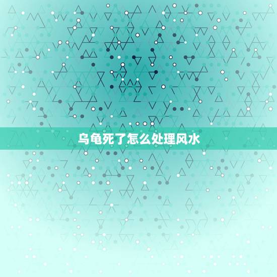 乌龟死了怎么处理风水，乌龟死了怎么处理比较好？