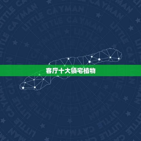 客厅十大镇宅植物，客厅最适合养什么植物