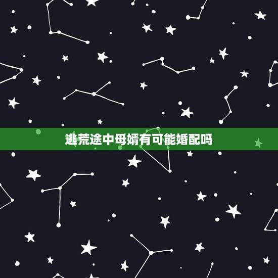 逃荒途中母婿有可能婚配吗,婚配观:穷陪穷,富配富,富配穷很少的了 逃荒途中母婿有可能婚配吗,婚配观:穷陪穷,富配富,富配穷很少的了
