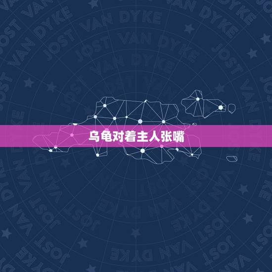乌龟对着主人张嘴，我的小乌龟不停向我张嘴，什么意思？