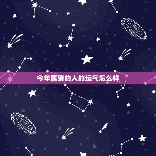 今年属猪的人的运气怎么样,属猪的人今年运气好吗? 今年属猪的人的运气怎么样,属猪的人今年运气好吗?