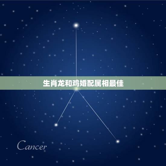 生肖龙和鸡婚配属相最佳，93年属鸡的和什么属相最配最合适呢