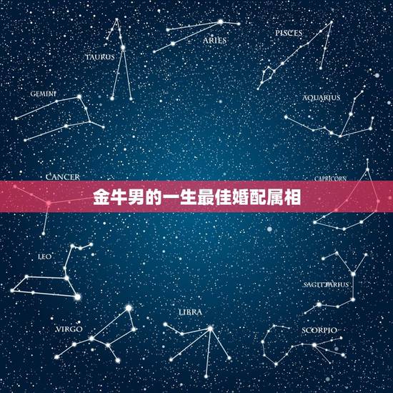 金牛男的一生最佳婚配属相，金牛座最佳配对
