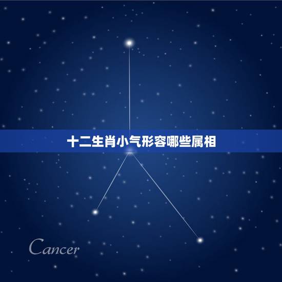 十二生肖小气形容哪些属相,小气是十二生肖什么动物 十二生肖小气形容哪些属相,小气是十二生肖什么动物