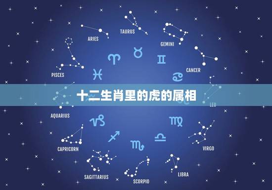 十二生肖里的虎的属相,十二生肖虎的来历? 十二生肖里的虎的属相,十二生肖虎的来历?