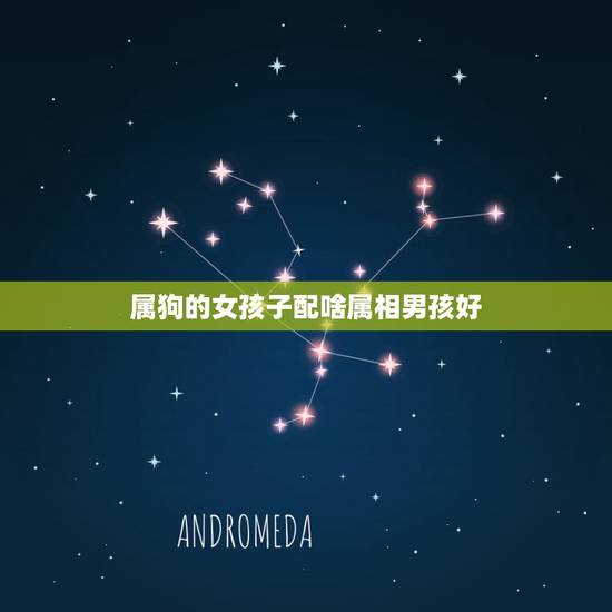 属狗的女孩子配啥属相男孩好,属相合适的人在一起会幸福,属狗的女生和什么 属狗的女孩子配啥属相男孩好,属相合适的人在一起会幸福,属狗的女生和什么