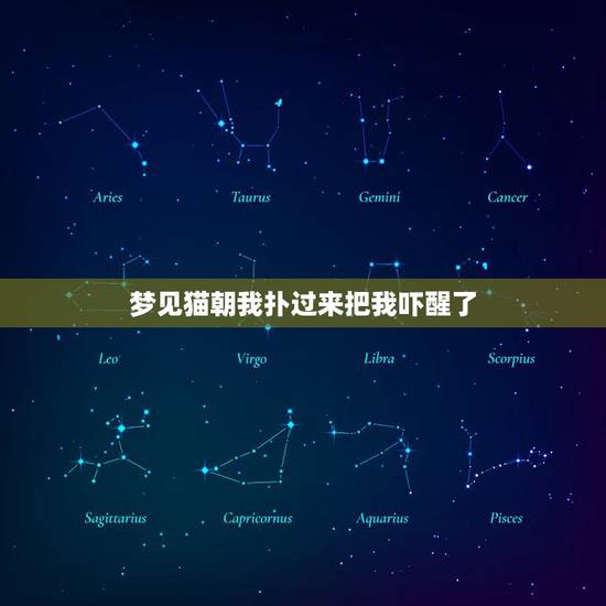 梦见猫朝我扑过来把我吓醒了，周公解梦 梦见猫跑，向我这边扑过来，就像狸