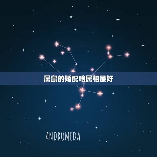 属鼠的婚配啥属相最好，属鼠最佳婚配属相
