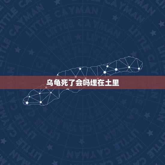 乌龟死了会吗埋在土里，小乌龟死后埋到土里会发生什么事情呢？