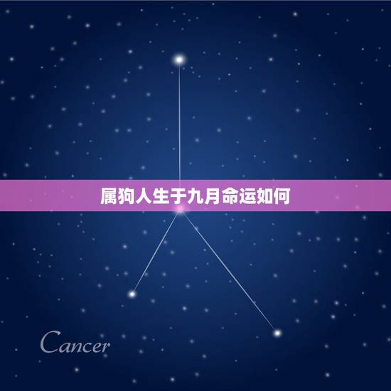 属狗人生于九月命运如何,属狗9月出生是什么命 属狗人生于九月命运如何,属狗9月出生是什么命
