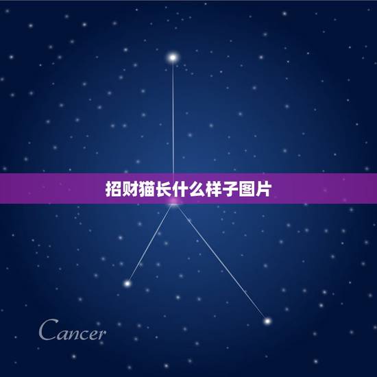 招财猫长什么样子图片，请问观赏鱼招财猫长的什么样
