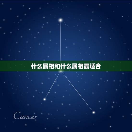 什么属相和什么属相最适合，属龙的和什么属相最配最合适呢？