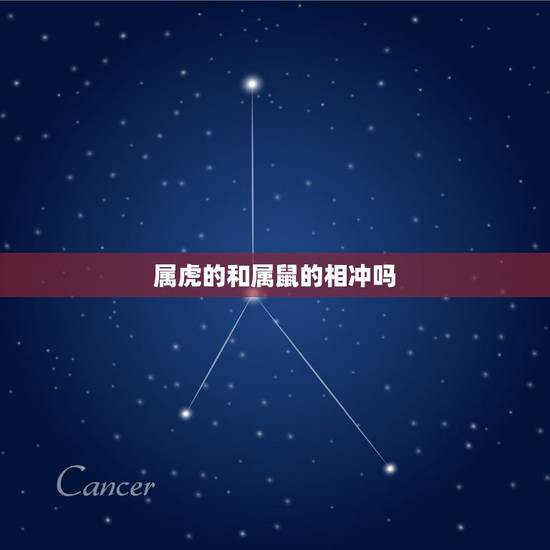 属虎的和属鼠的相冲吗，属虎人与属鼠人相生相克吗