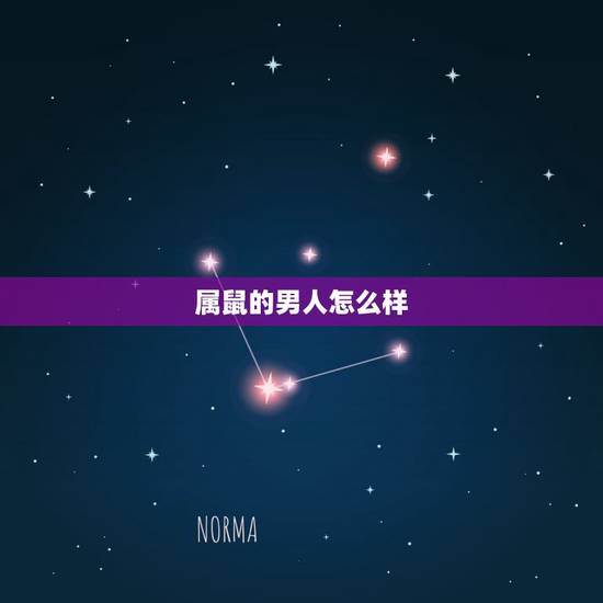 属鼠的男人怎么样，属鼠的男人命好不好