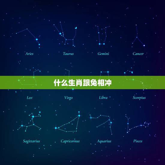 什么生肖跟兔相冲，2023年兔和什么属相相冲