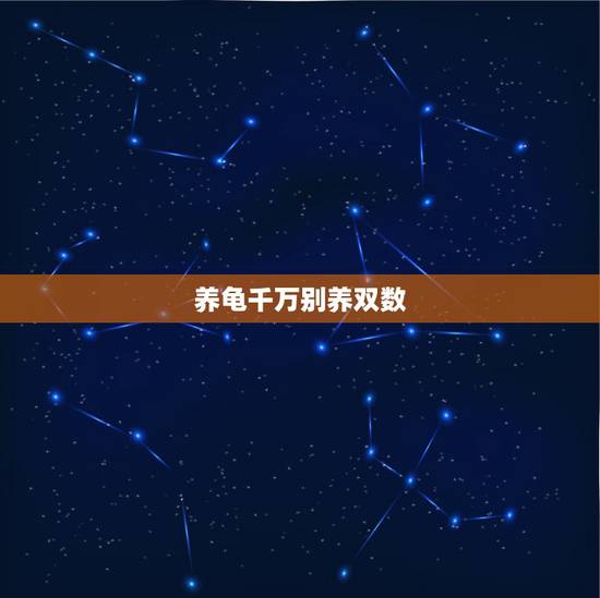 养龟千万别养双数，养龟养单数还是双数好