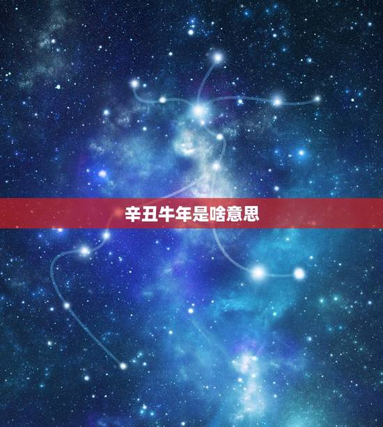 辛丑牛年是啥意思，新闻直播间辛丑年