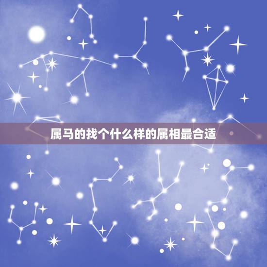 属马的找个什么样的属相最合适，属鼠的和什么属相最配