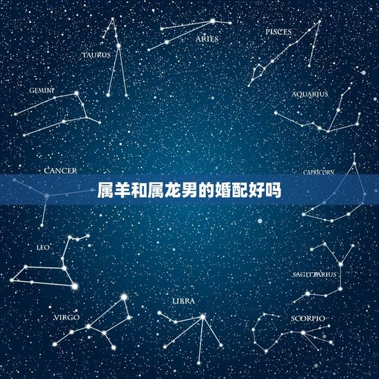 属羊和属龙男的婚配好吗,属羊的和属龙的配吗婚姻会好吗? 属羊和属龙男的婚配好吗,属羊的和属龙的配吗婚姻会好吗?