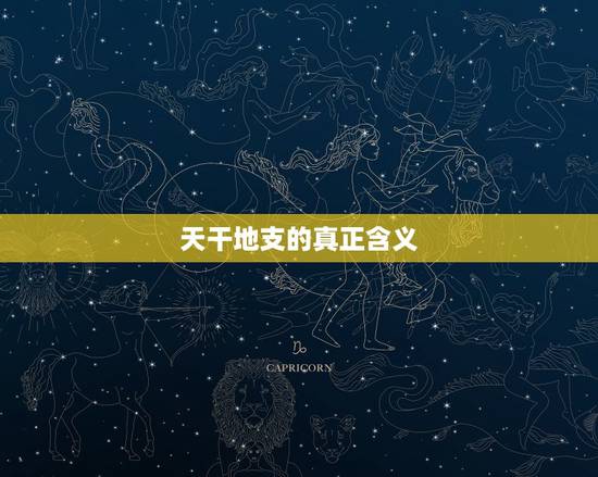 天干地支的真正含义,天干地支的具体意义是什么? 天干地支的真正含义,天干地支的具体意义是什么?