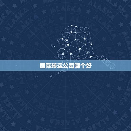 国际转运公司哪个好,美国海淘,用哪个转运公司比较好? 国际转运公司哪个好,美国海淘,用哪个转运公司比较好?