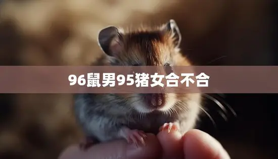 96鼠男95猪女合不合(星座专家揭秘他们的爱情契合度) 96鼠男95猪女合不合(星座专家揭秘他们的爱情契合度)