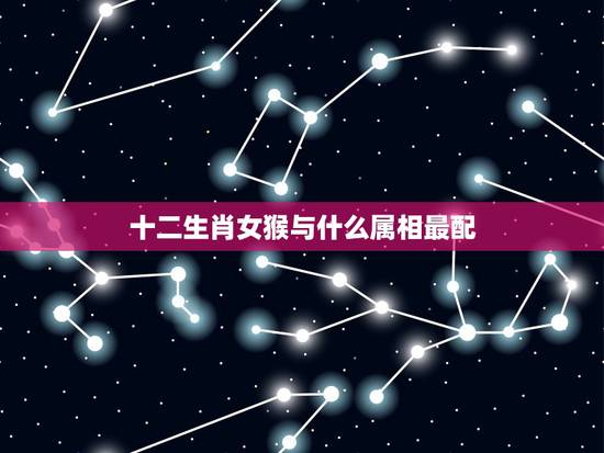 十二生肖女猴与什么属相最配，92年女属猴的和什么属相最配