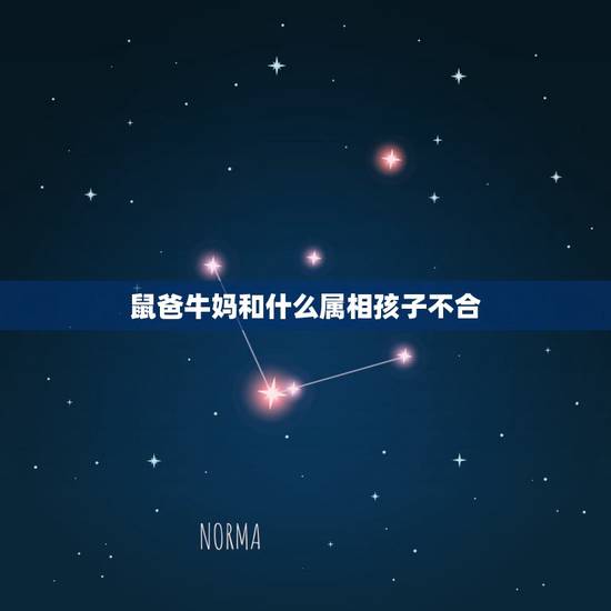 鼠爸牛妈和什么属相孩子不合，牛妈兔爸生个几月的牛宝好？