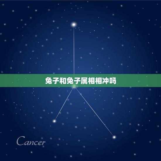 兔子和兔子属相相冲吗，属兔的和什么属相相冲