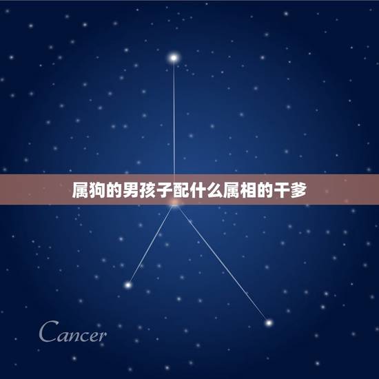 属狗的男孩子配什么属相的干爹,属狗男最易配什么属相 属狗的男孩子配什么属相的干爹,属狗男最易配什么属相